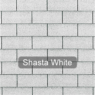 25 Year Shasta White
